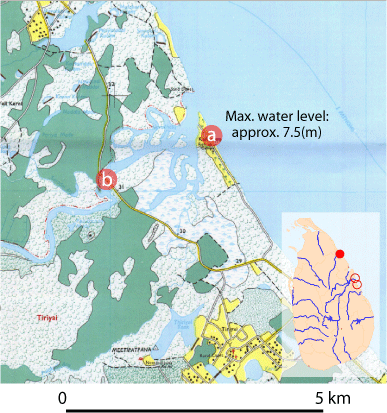 Fig-1Yan Oya River mouth (Point (b) is about 3.5 km from Point (a). Mangrove trees on riverbanks in this section may have contributed to the dissipation of energy from the intruding tsunami.) 